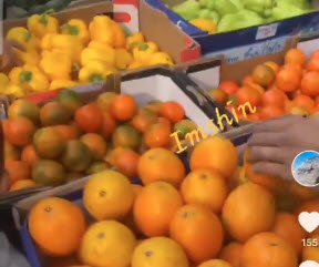 You’ll never see this photo in mainstream media: Fresh fruits and vegetables in Gaza. While food is still in short supply in Gaza, and prices are stratospheric—there is no famine, no starvation. Hundreds of trucks deliver tons of food to Gaza every week.”